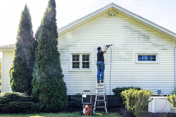 Best Rust Removal  in Stockton, KS